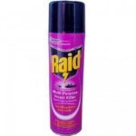 Raid Multipurpose Insect Killer 500ml